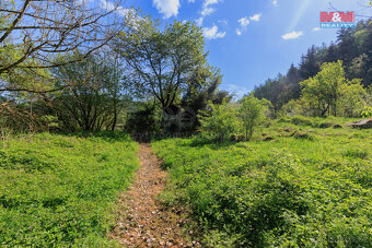 Prodej pozemku k bydlení, 4185 m², Rejštejn - 19