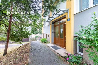 Pronájem bytu 4+kk 64m - 19