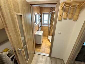 Pronájem bytu 1+1, 41m2, U Vlastního Krbu, Teplice - 19