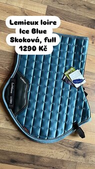 Spousta nových věcí na koně - 19