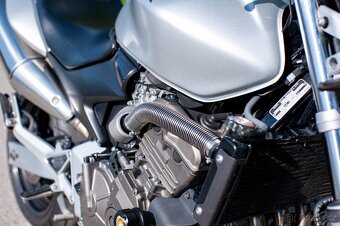 Honda CB600 Hornet s moderním LED světlem - 19