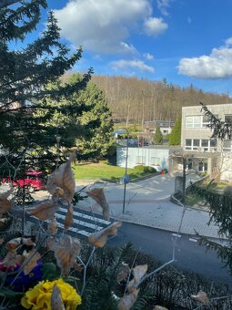 K prodeji byt 2kk Litvínov - 19