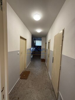 Prodej bytu 1+1, 52 m2, Praha 4 - Braník, ul. Na Mlejnku - 19