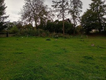 Zahrada v intravilánu obce, výměra: 7.428 m2. - 19