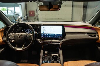 Lexus RX 450h plus - 19