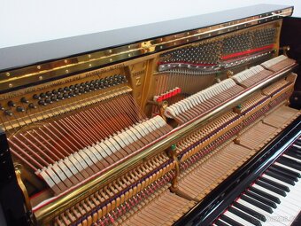 Steinway and Sons dovoz celá ČR - 19