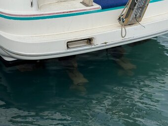 SEALINE SPORT 400 - 19
