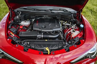 Alfa Romeo Stelvio 2.0T 206kW Q4, 2022, 21500KM - 19