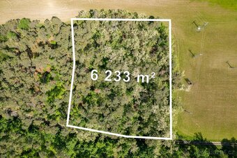 Prodej pole a lesa 84 910 m2 - 19