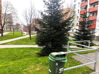 1+kk os. vlast., centrum Ostravy, rekonstrukce, klimatizace. - 19