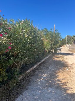Domek 50m2 - 100m od pláže🇮🇹 - 19