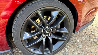 Ford Mustang GT V8 5.0 324 kW - 19