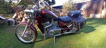 Suzuki VS 800 GL Intruder - 19
