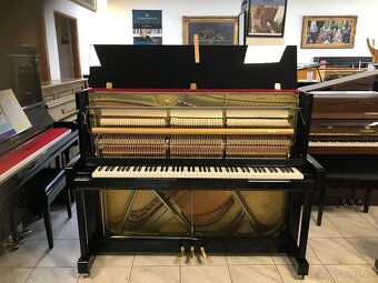 Yamaha B3 se zárukou 5 let, včetně 1. servisu a dopravy - 19