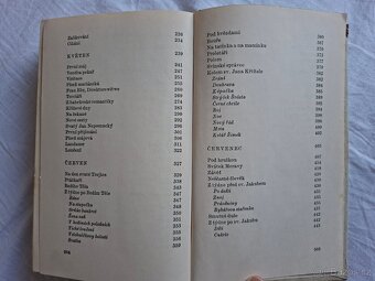 Rok na vsi  kronika moravské dědiny - 19