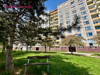 Byt s klidem v duši - 2+kk, 47,4 m2, Hradec Králové - 19