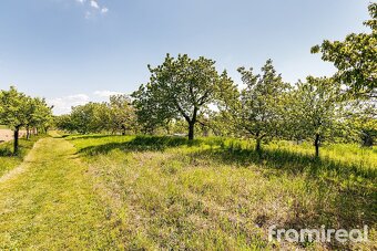 Prodej rodinného domu, 87 m2, pozemek 4392 m2 - Hlína - 19