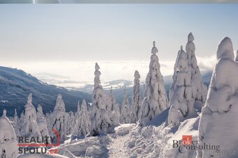 Prodej, byty/2+kk, 63.4 m2, Velká Morava 6, 56169 Dolní Mora - 19