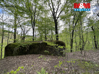 Prodej zahrady, 2545 m², Chrastava, Andělská Hora - 19