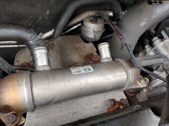 KIA Carnival III 2008 2,9CRDI 136kW J3 XENONY - DILY - 19