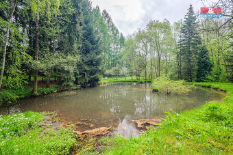 Prodej rodinného domu, 105 m² + pozemek 11.000 m2, Damice - 19