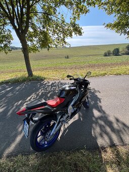 Aprilia rs 125 - 19