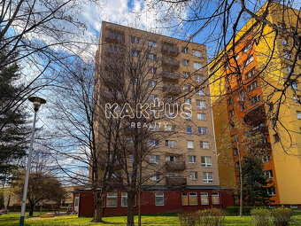 Prodej dr. bytu 3+1, ulice Gen. Janka, Mariánské hory - 19