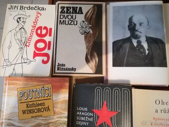 Knihy 21 různé tituly - 19