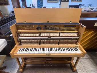 W.Hoffmann - Bechstein mod. 117 se zárukou 5 let. - 19