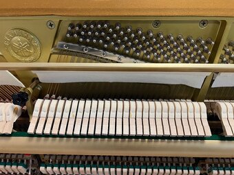 Yamaha E116N se zárukou 5 let, doprava zdarma PRODÁNO. - 19