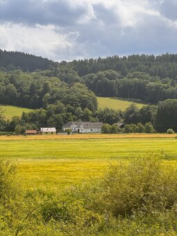 Prodej statku, 27000 m², Městečko Trnávka - Pěčíkov - 19