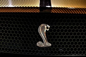 Ford Mustang GT500 optik body kit - DPH - 19