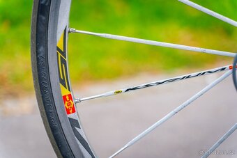 Silniční kolo Giant TCR C1 Carbon - 19