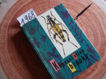 knihy o zvířatech,pavouci,ryby,užovka,holubi,králíci,brouci - 19