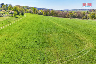 Prodej pozemkové parcely 10903 m2, Studánka u Tachova - 19