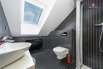 Prodej rodinného domu, 420 m², Tichá - 19