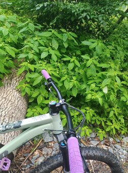 CTM Zephyr Xpert 27.5" M - 19