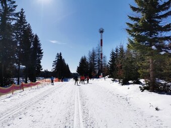 Prodej bytu 2+kk v destinaci Harrachov. - 19