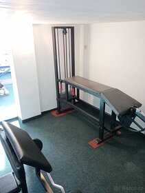 Prodám dvougeneračního dům v Benešově u Prahy - 19