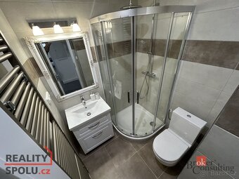 Prodej, komerční/činžovní dům, 469 m2, Na Pile 192/11, Skvrň - 19