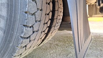 Nosič kontejneru Daf Lf 45.250 - 19