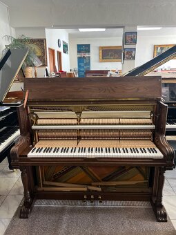 Holandské piano Rippen se zárukou 5 let. Doprava zdarma - 19