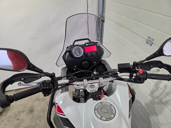 Yamaha XT 660 Z Ténéré - alu kufry - Akrapovič výfuky - 19