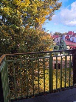 Pronájem bytu v Kouřimi na náměstí - 19