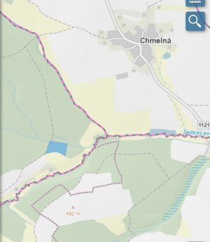 Lesní pozemek Pravonín - 19