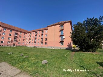 Prodej bytu 2+1 ul. Těšínská, Ústí nad Labem Střekov - 19