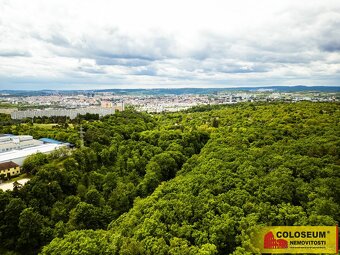 Brno - Sadová, orná půda - 2613 m2 - pozemek, ev.č. E370L015 - 19