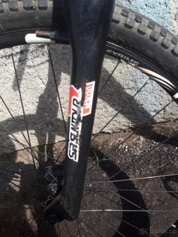 MTB/DIRT PELLIS ROOT - 19