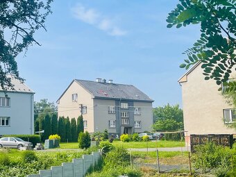 Prodej, byt 2+1, Hromnice - Žichlice, Plzeň - sever - 19