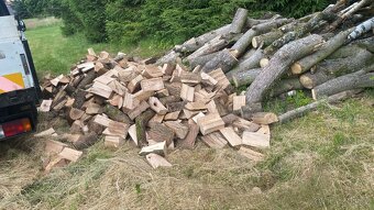 Palivové dřevo,všechny druhy,štípané nebo špalky - 19
